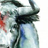 Stier-jpg